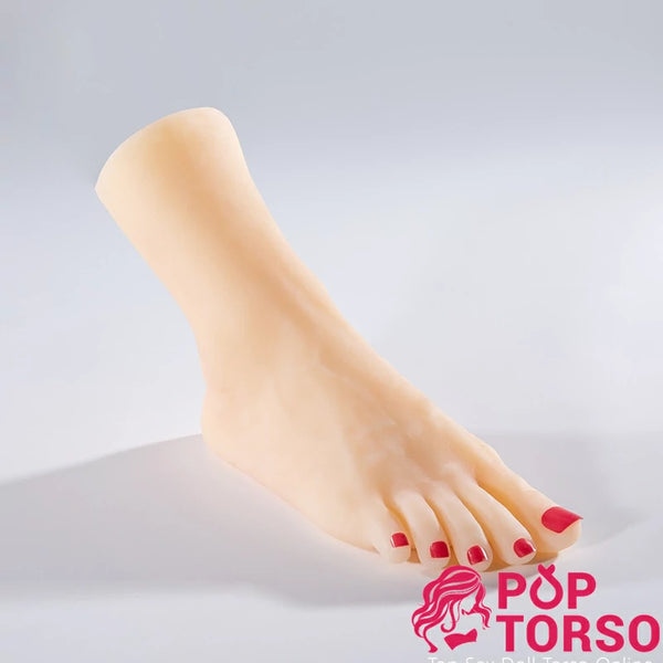 AiYuan Tonnia Female Feet Sex Doll Torso