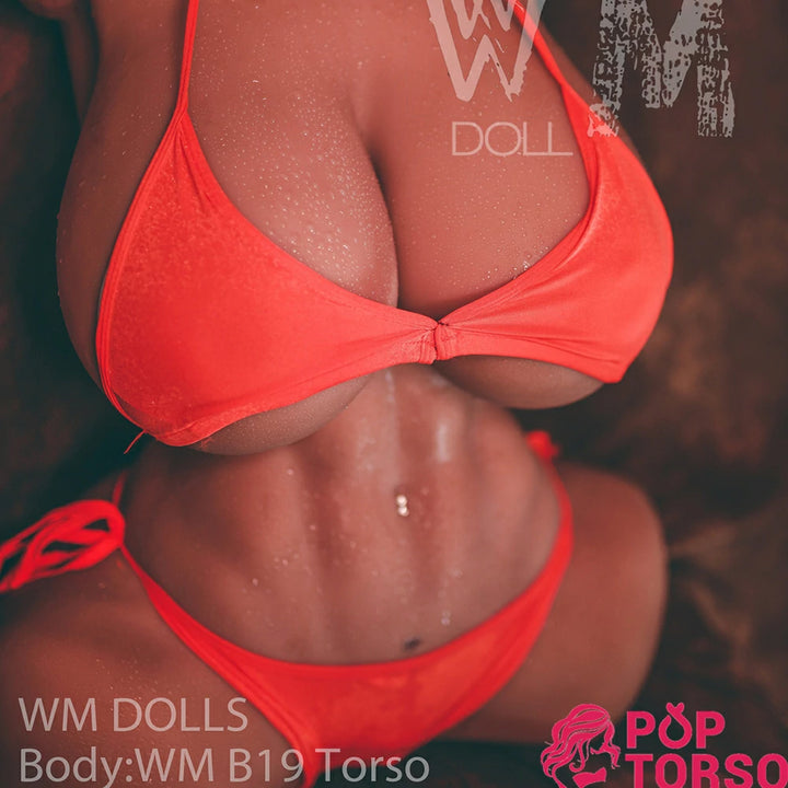 WM Lacus BBW Life-size Muscle  Torso Sex Dolls  